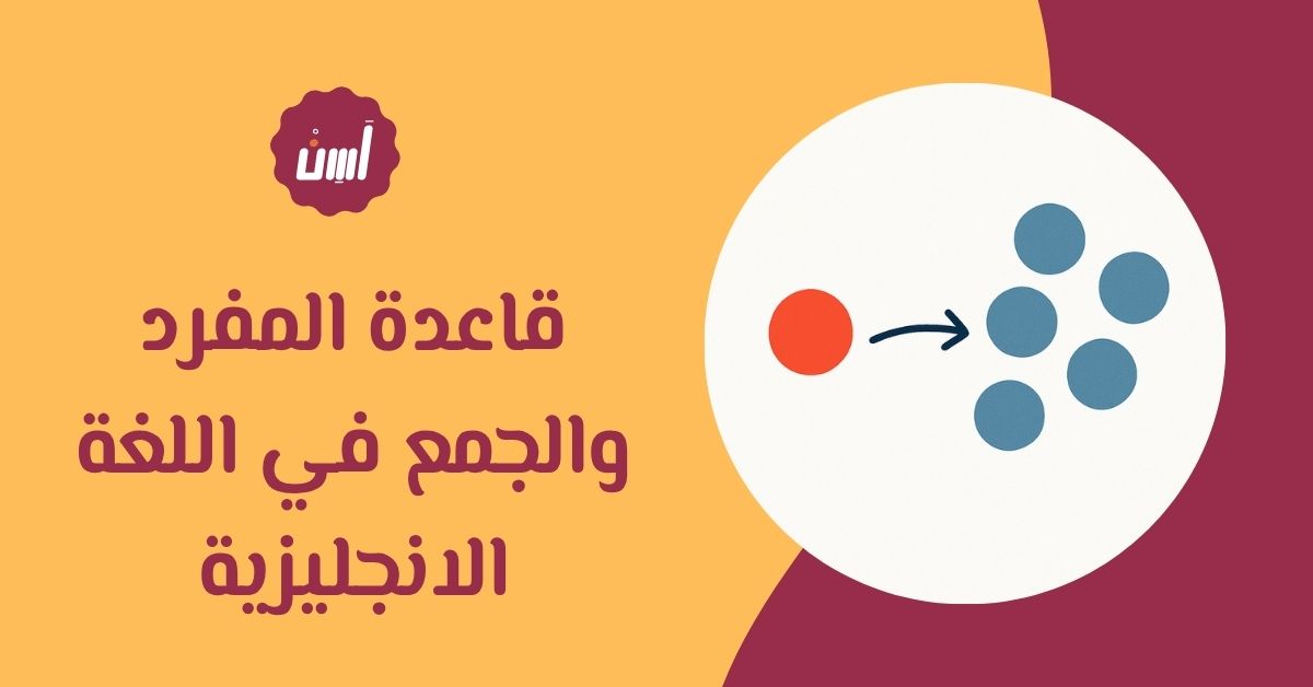 ما هي قاعدة المفرد والجمع في اللغة الانجليزية؟